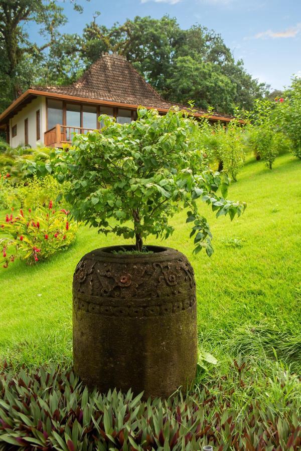 La Coralina Island House Hotel Bocas del Toro Exterior photo